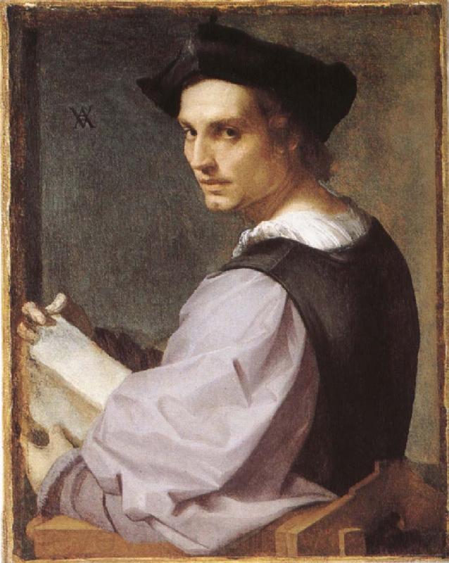 Andrea del Sarto Portratt of young man Spain oil painting art